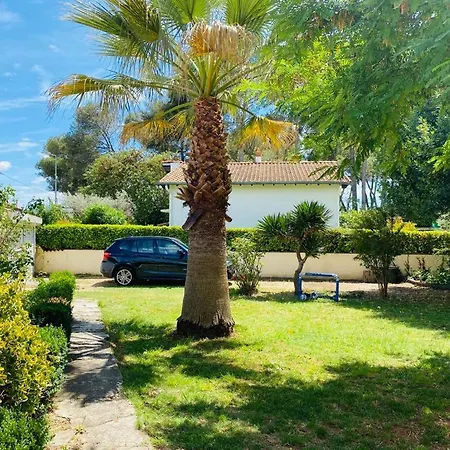 Magnificent Vendargues