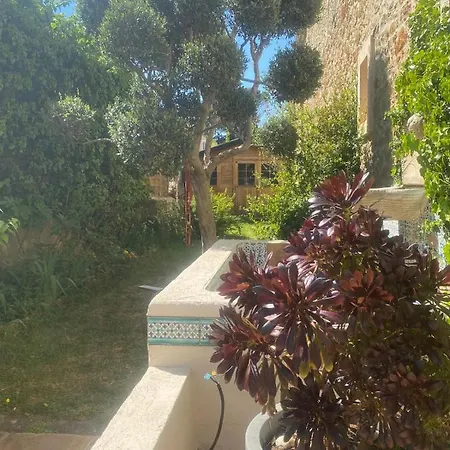 Magnificent Vendargues